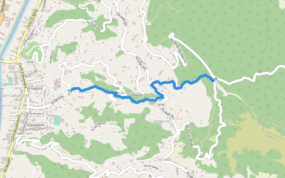 San Salvatore - San Giacomo walking route map in San Salvatore