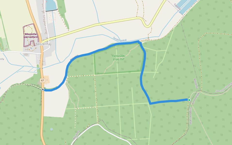 P+ (Kisbőszénfa, 67-es út – Fűrésztelep – Baranya megye) walking route map in Gálosfa