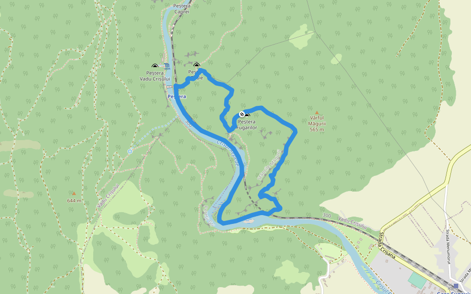 Vadu crisului: Circuitul galben walking route map in Șuncuiuș
