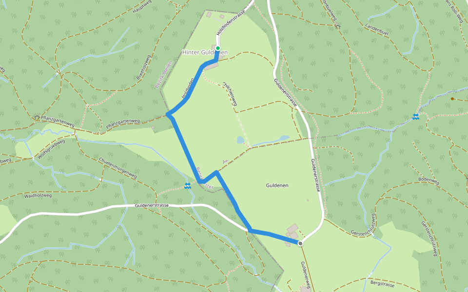 Egg Hinter Guldenen - Egg Vorder Guldenen walking route map in Forch