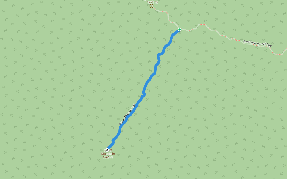Street Mountain Trail