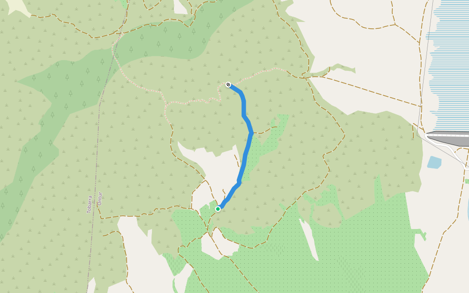 Variante de la Artesica walking route map in Ontur