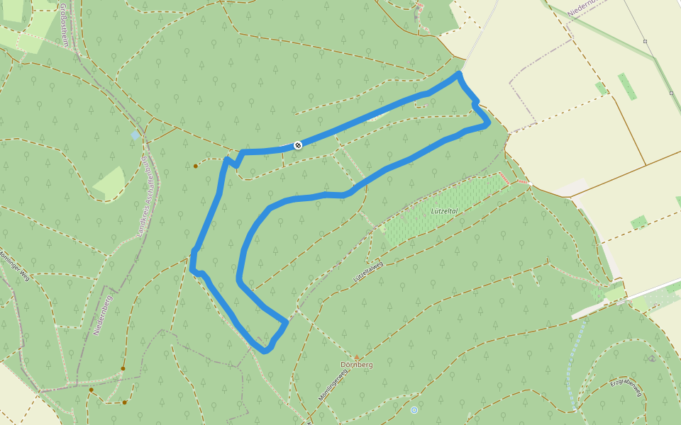 Rundwanderweg Niederberg Nasenberg 3: Ischelsberg-Weg walking route map in Niedernberg