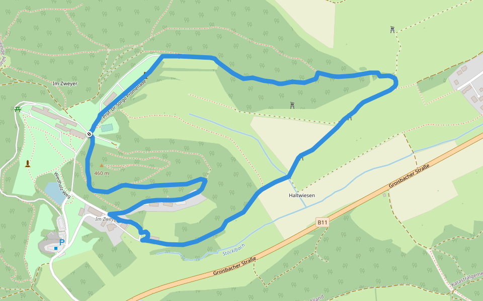 Route 1 (Sonderkrankenhaus Alland) walking route map in Alland