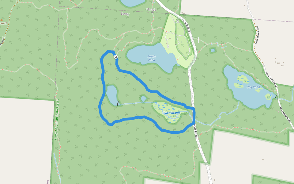 Tyler Swamp Loop walking route map in Savoy