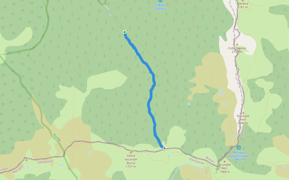 Valea Bângăleasa - Vârful Bucșa walking route map in Moieciu de Sus