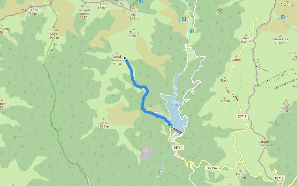 Cabana Bolboci - Plaiul Mircea - Muntele Deleanu walking route map in Bolboci