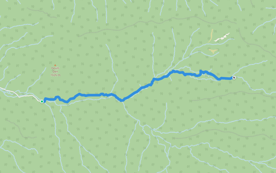 Ramsey Cascades Trail