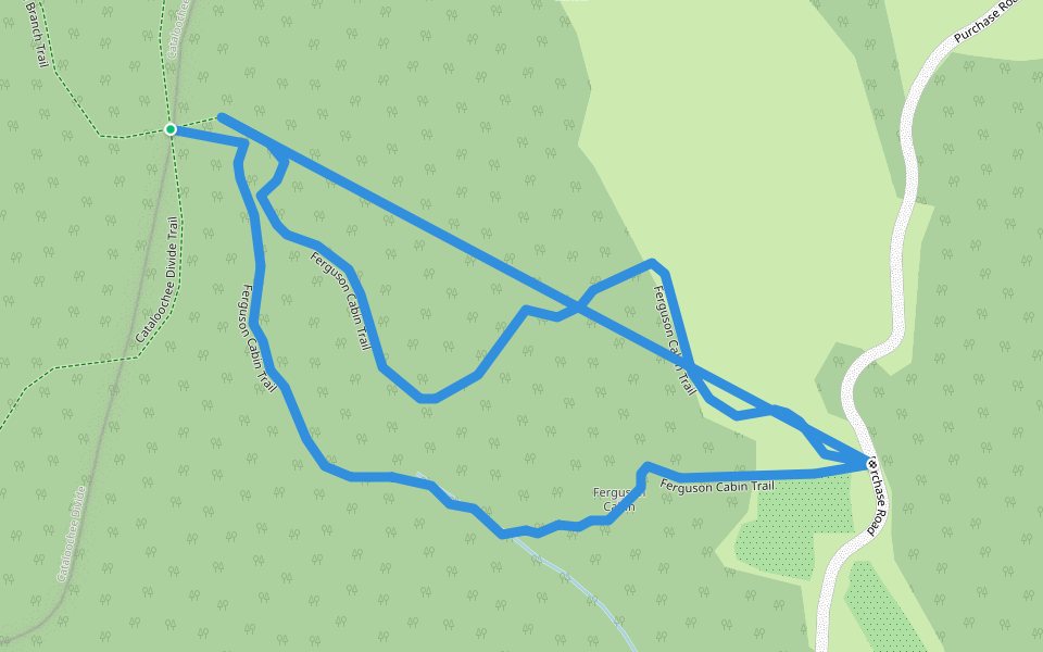Ferguson Cabin Trail walking route map in Waynesville