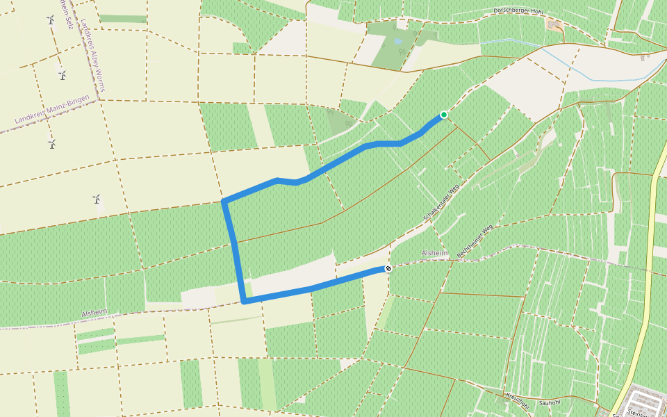 Alsheim 6+: walking route map in Alsheim