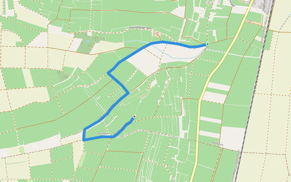 Alsheim 6: Goldbergshohlweg walking route map in Alsheim