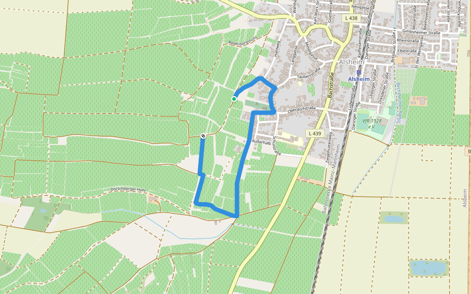 Alsheim 4+: walking route map in Alsheim
