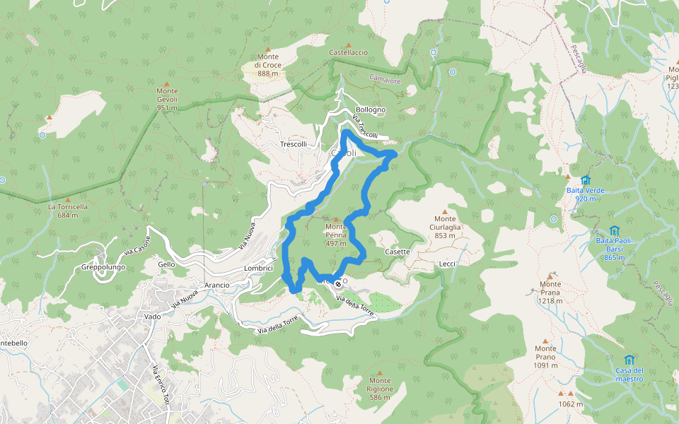 ANELLO 7 - CANDALLA - CASOLI - METATO - CANDALLA walking route map in Camaiore