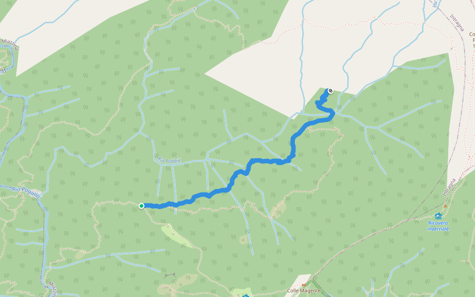 Alpe Varola - Corte Morgin walking route map in Cicogna