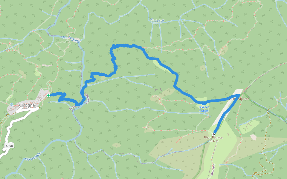 P06 - Cicogna - Varola - Curgei - Pizzo Pernice walking route map in Cicogna