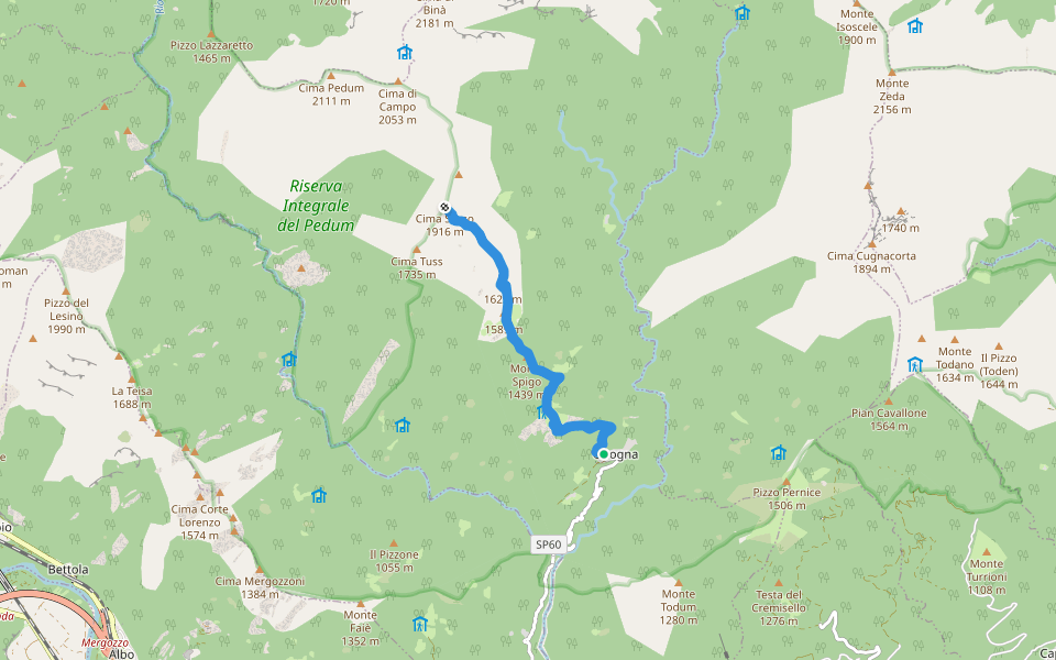 P11 - Cicogna - Cima Sasso walking route map in Cicogna