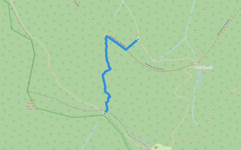 Fonte del Poggio - Termine Corto