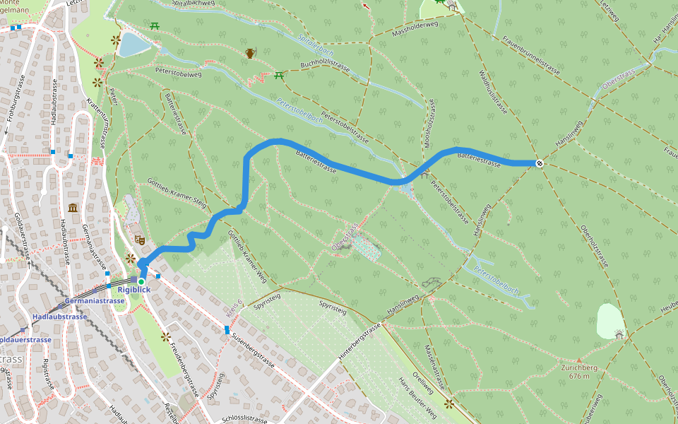Rigiblick - Zürichberg