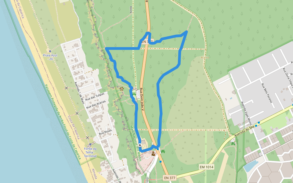 Percurso do Centro de Interpretação da Mata dos Medos walking route map in Costa da Caparica