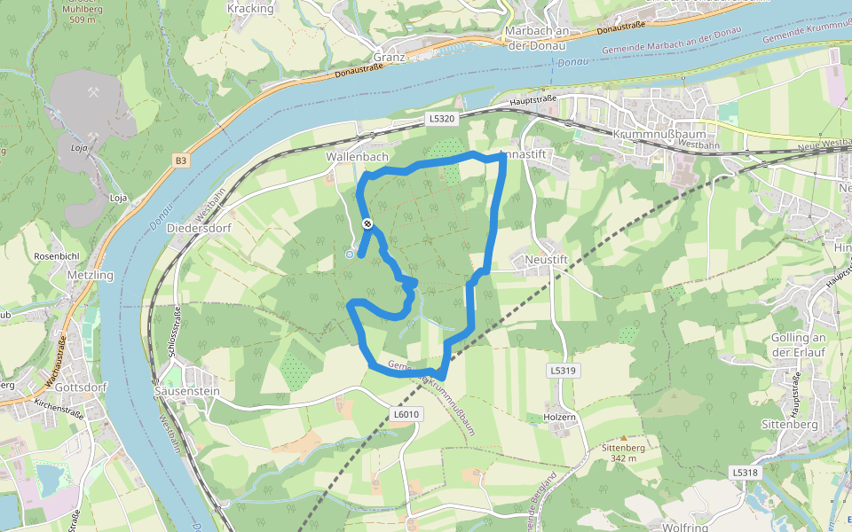 Krummnussbaum Route 3 walking route map in Wallenbach