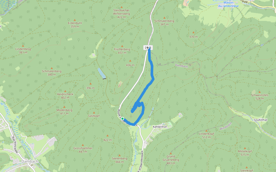 Col du Langthal - ? walking route map in Dambach