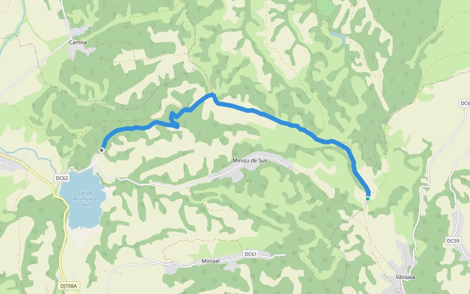 FOREST ROAD  walking route map in Văsoaia