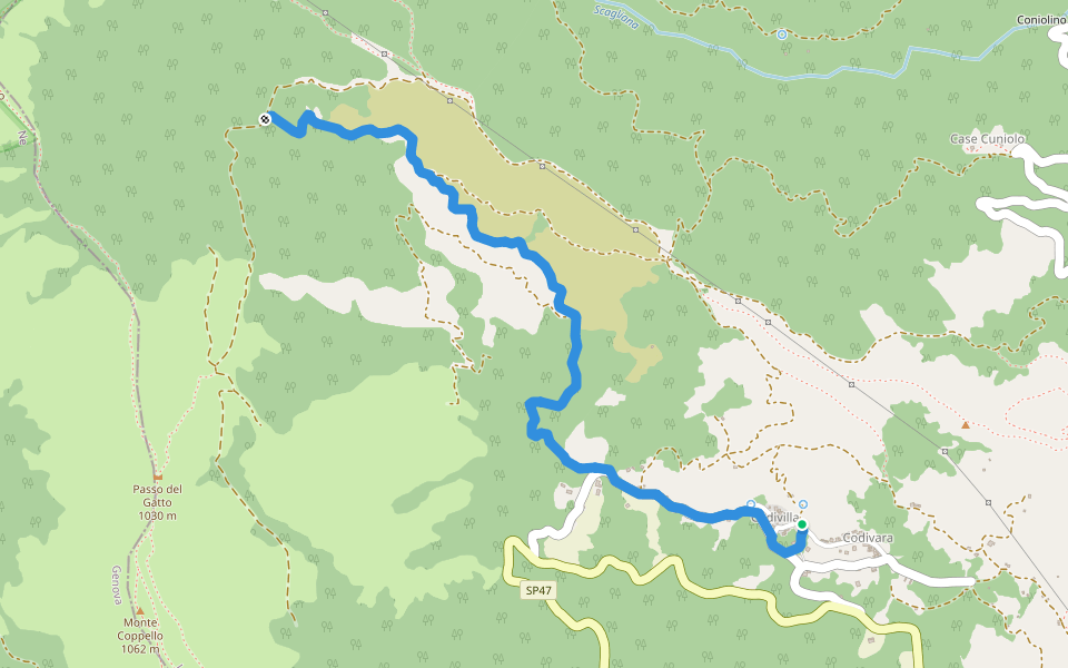 Codivilla – Pinello (Bivio 113) walking route map in Codivara