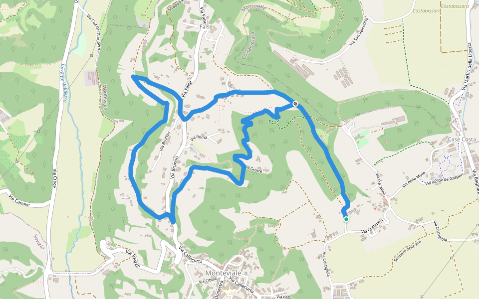 Sentiero Vegrolongo - della Sorgente - dell'Ornaro walking route map in Costigiola