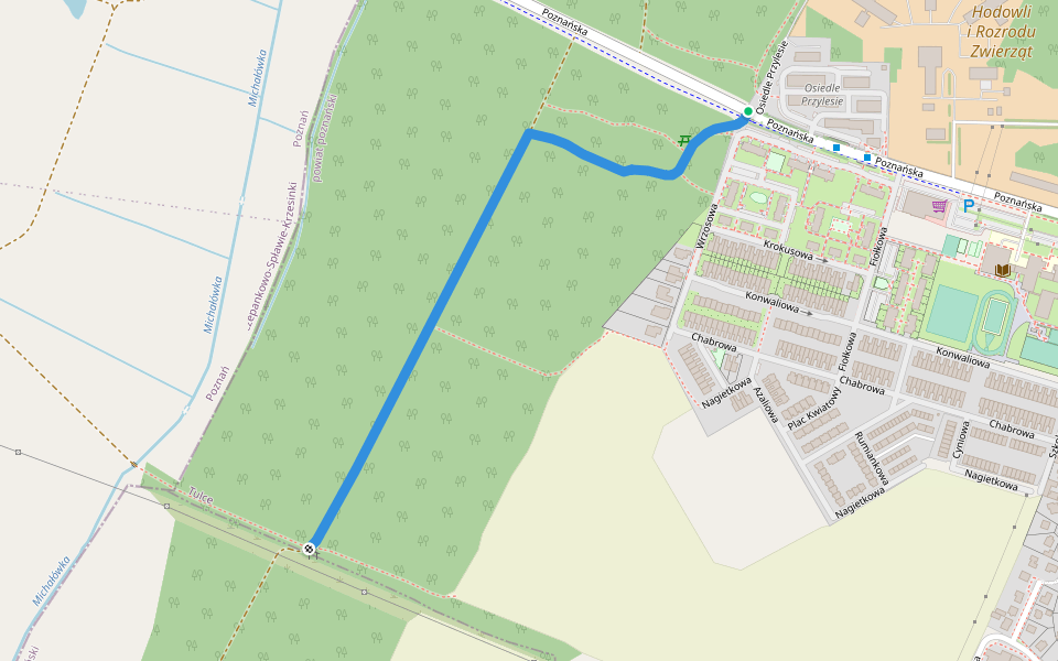 Ścieżka przyrodnicza "Skarby lasu" walking route map in Tulce