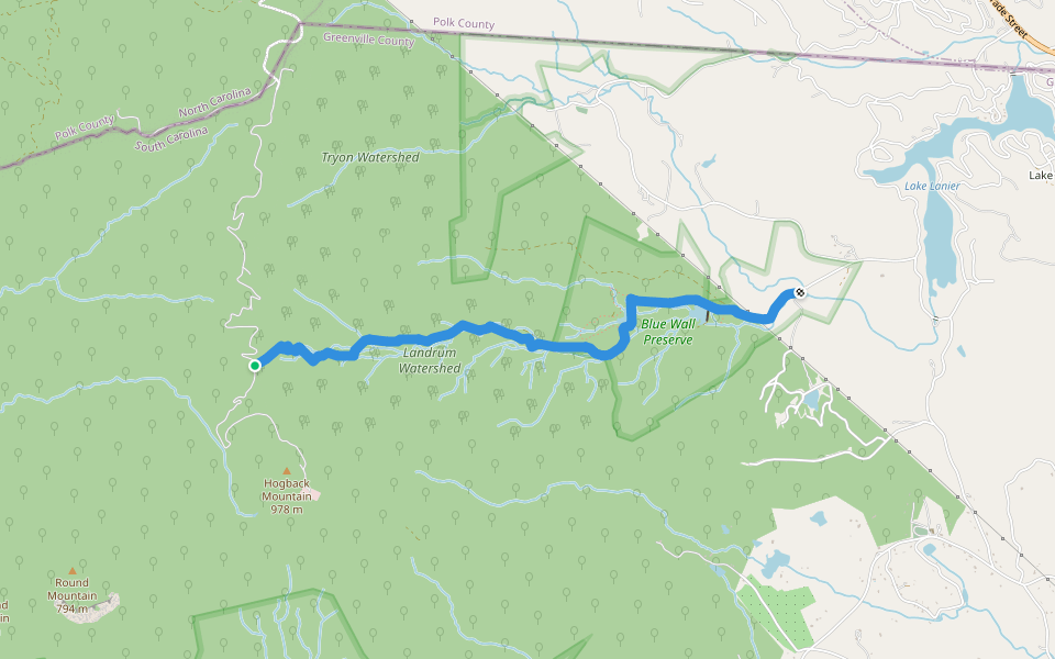 Palmetto Trail: Blue Wall Passage walking route map in Tryon