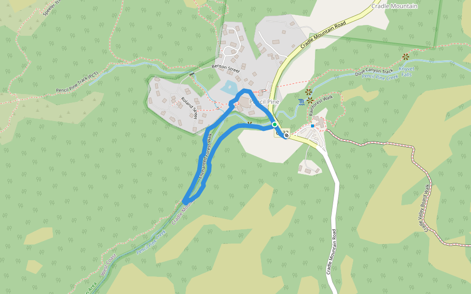 Enchanted Forest Walk