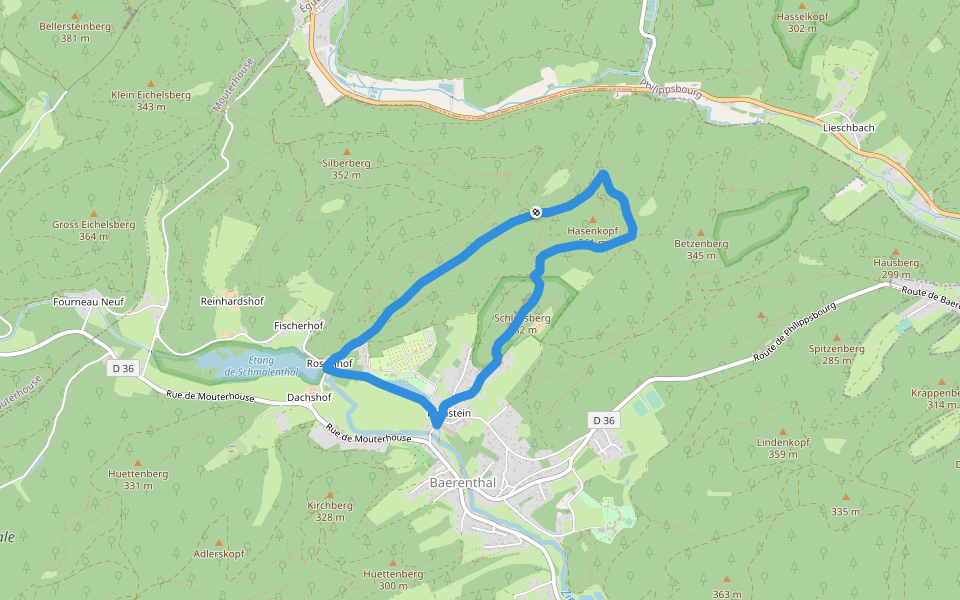 Red ring walking route map in Baerenthal