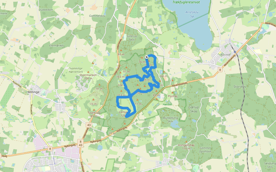 Brun rute
