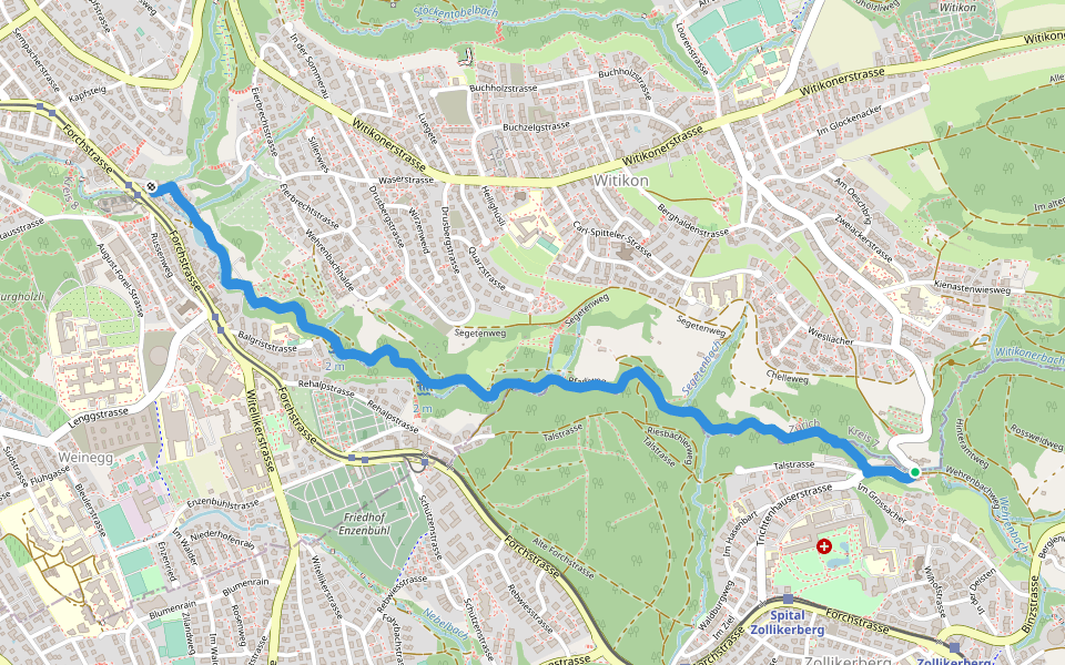 Trichtenhusen - Burgwis