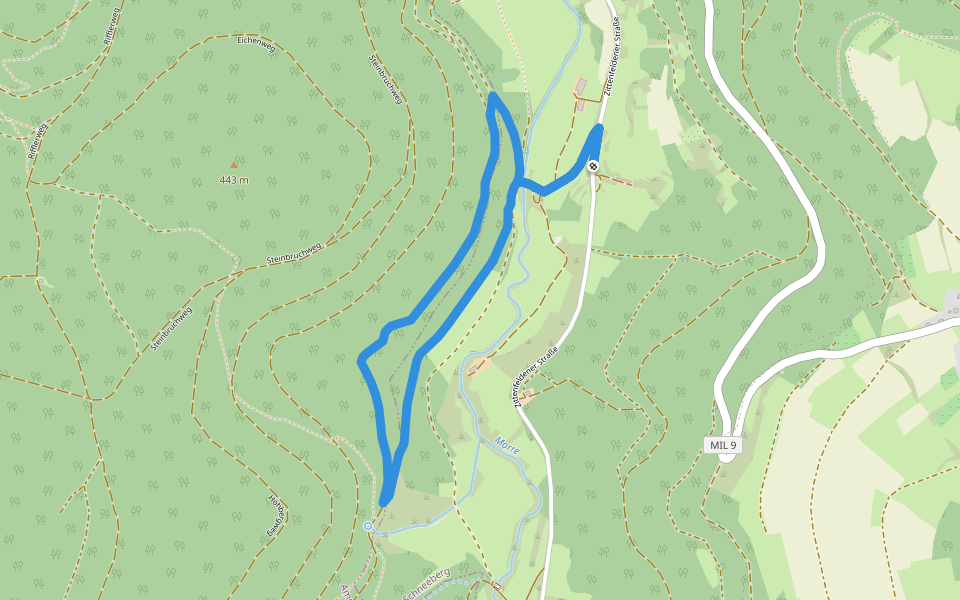 Rundwanderweg Schneeberg Morretal 1: Scheerer-Weg walking route map in Schneeberg