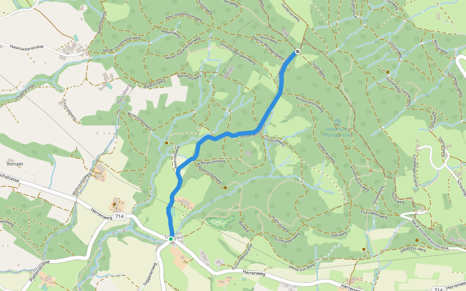 Toggwil - Guldener Höchi