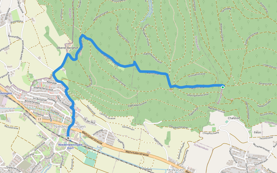 Schliniker Platten - Niederweningen Dorf walking route map in Oberweningen