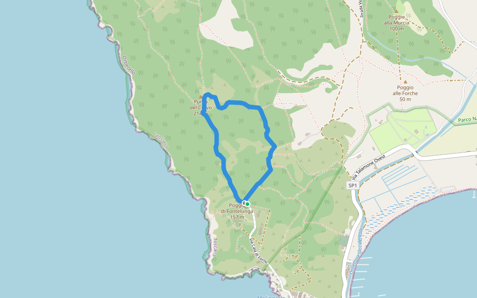 T1 Punta del Corvo walking route map in Talamone