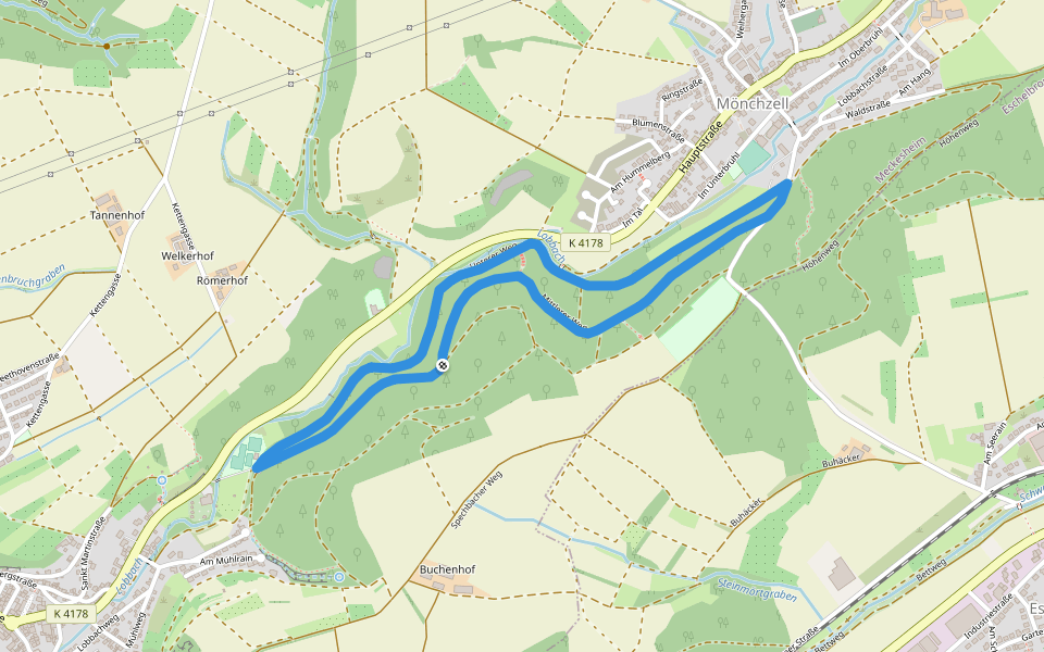 Rundwanderweg Meckesheim Buchwald 5: Buchwald-Weg walking route map in Meckesheim
