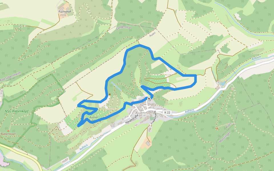 Römerstich A1 walking route map in Auen