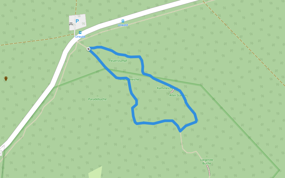 Rundweg Urwald Sababurg gelb walking route map in Gutsbezirk Reinhardswald