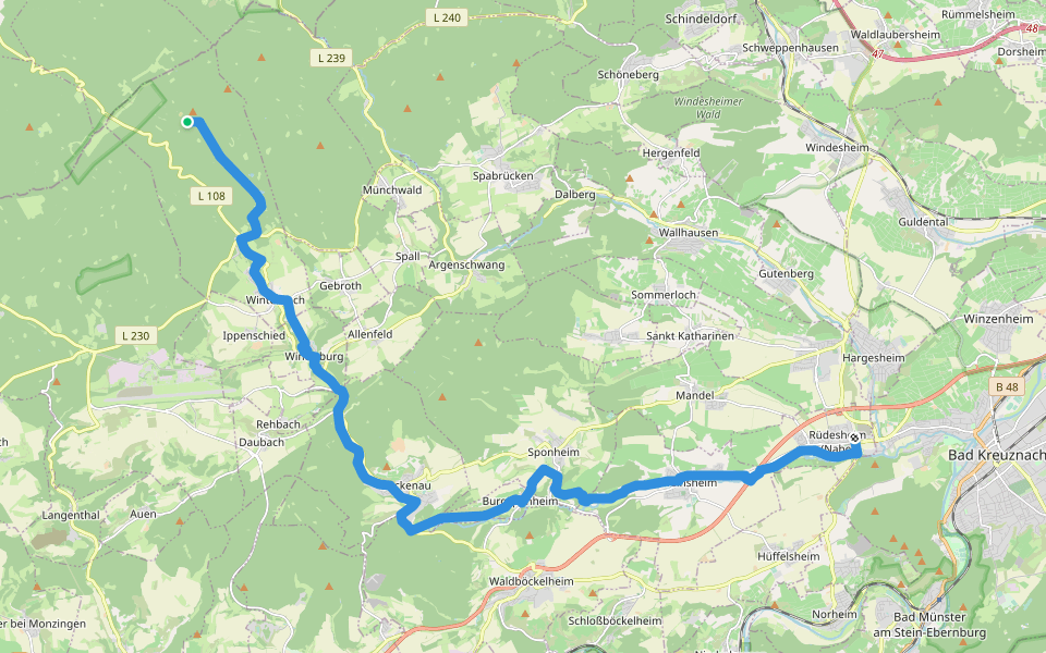 Rüdesheim - Soonwaldsteig, Ellerspring walking route map in Winterbach