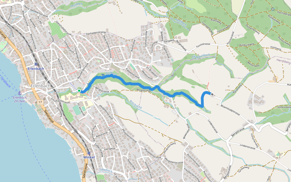 Erlenbach Dorfbach - Blüemlisalp walking route map in Erlenbach