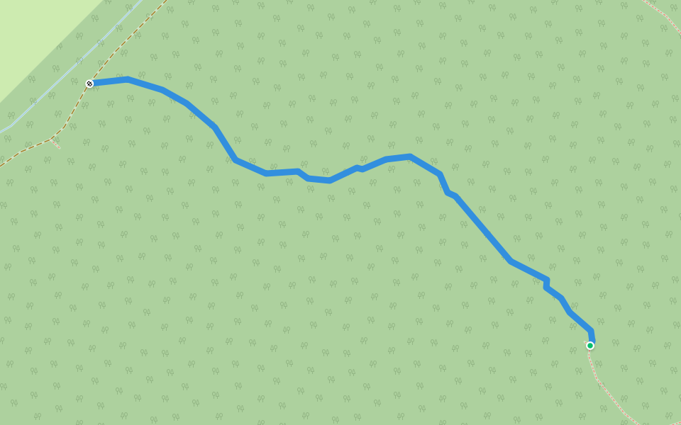 Traseu Rosu S walking route map in Silagiu