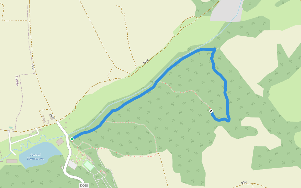 Traseu Rosu walking route map in Silagiu