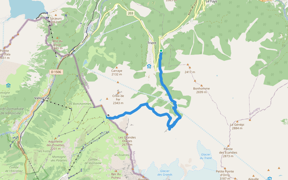 Tour Du Mont Blanc - Variante des Grands walking route map in Trient