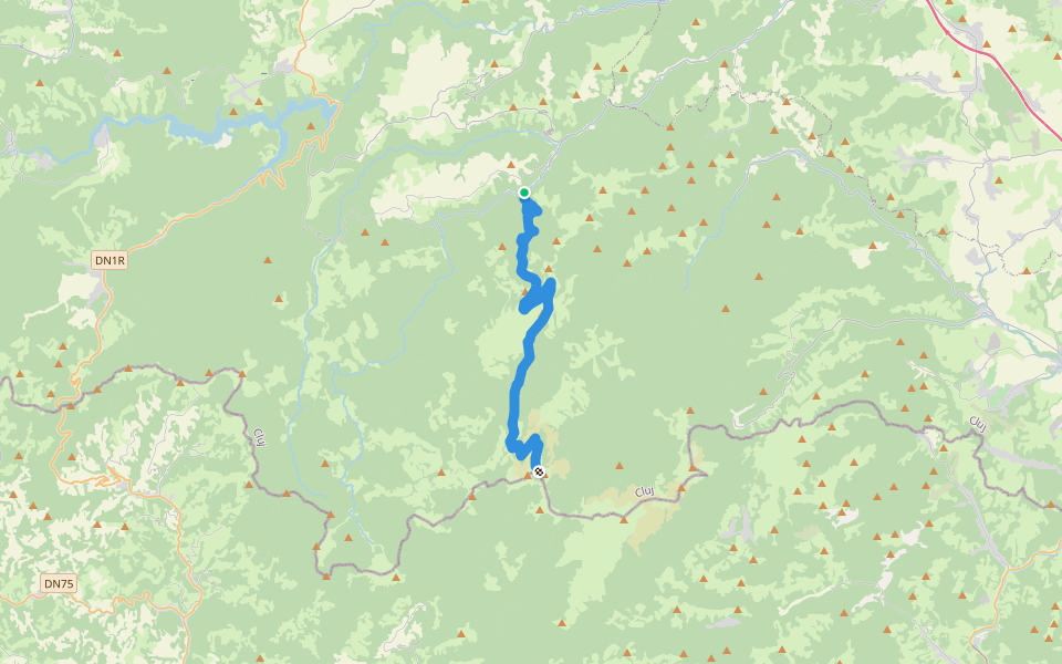 Măguri-Răcătău - Vârful Dumitreasa - La Potcoavă walking route map in Măguri