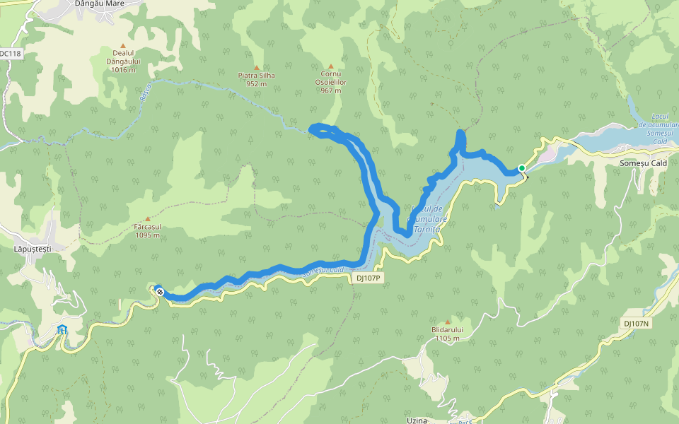 Barajul Tarnița - Golful Râșca - Coada Lacului Tarnița walking route map in Someșu Cald