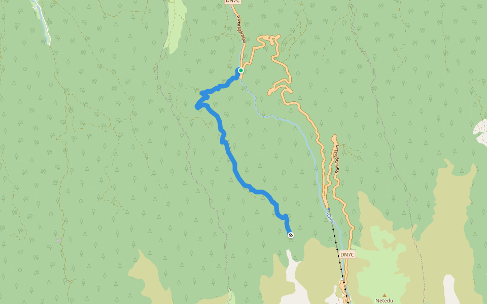 Cabana Vama Cucului - Vf. Mierea - V. Doamnei walking route map in Cârțișoara