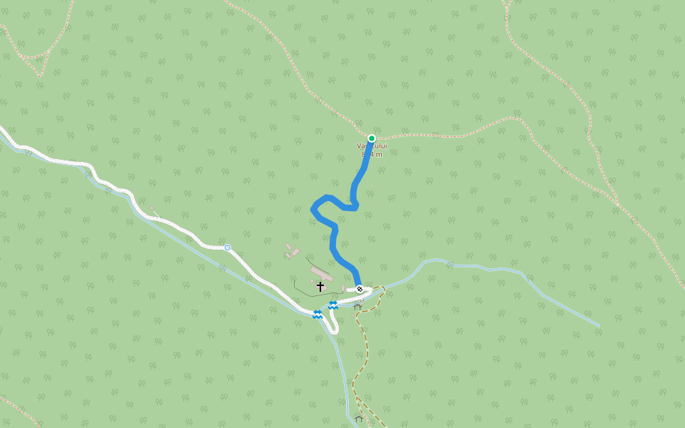 Vf. Vărețului (traseul TA) - Mănăstirea Turnu Roșu walking route map in Turnu Roșu